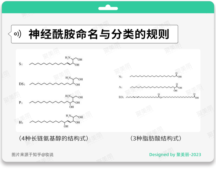 管家婆马报图今晚