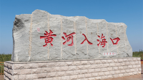 让“黄河大集”，诠释山东文旅的“烟火气”