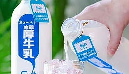 奶茶追捧的“厚乳”，背后是新型乳制品们的“卷”