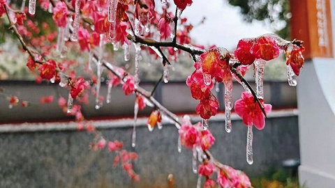 安徽气象：未来一周安徽省多阴雨雪天气