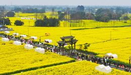 过完春节过春糖 崇州天府酒村集市在梁景村开市