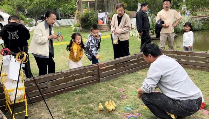 管家婆马报图今晚