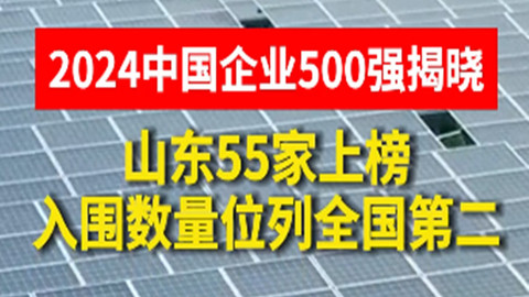 山东55家企业入围中国企业500强