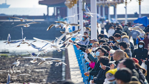 首个“非遗春节”假期收官！青岛、济南、泰安位列全省文旅消费规模前三