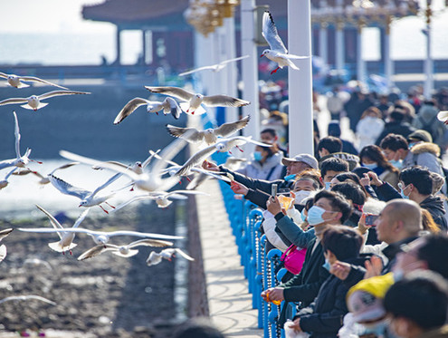 首个“非遗春节”假期收官！青岛、济南、泰安位列全省文旅消费规模前三