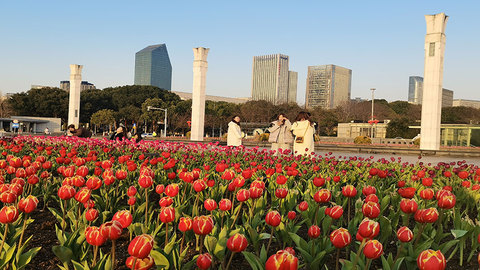 在宁波“郁”见春日顶流