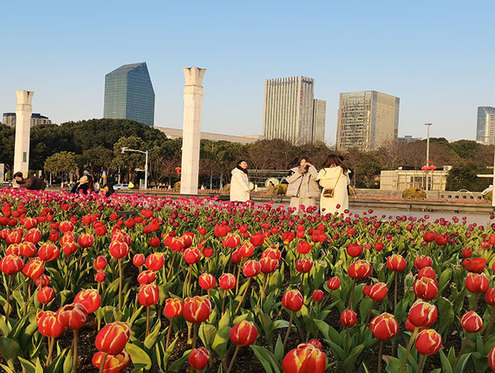 在宁波“郁”见春日顶流