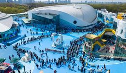 五度蟬聯！哈爾濱極地公園斬獲第25屆IAI傳鑒國際廣告獎三項大獎