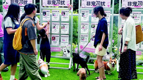 业绩与市值双增 中宠股份年内股价涨超80%