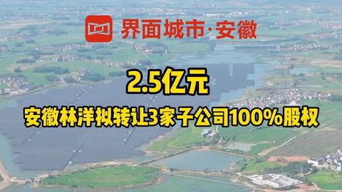 安徽林洋拟转让3家子公司100%股权