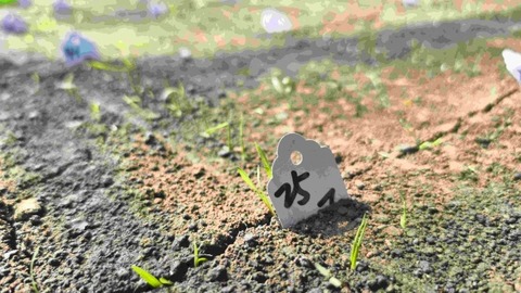 龙江种企：赋能“智慧芯”革新产业链