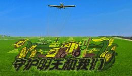 空中飞防+地面精管，30万亩水稻吃饱“科技套餐”