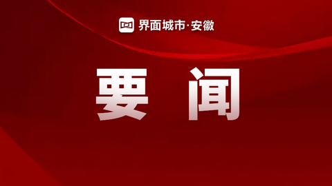 安徽省委书记梁言顺：跳出铜陵看全省，深入开展系统整治