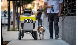 RoboTaxiġս