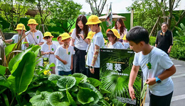 云南万科把植物园搬进社区，让孩子在自然里收获甜蜜和成长