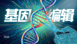 基因编辑的过去与未来：机会、风险与AI进化之路。