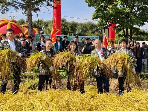 稻子熟了！共赴一场“丰收之约”