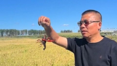 “智慧三场”引领 绘就乡村振兴新画卷
