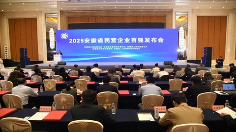 2025安徽省民营企业百强榜单发布