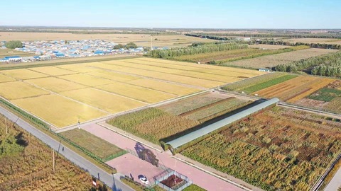 第41位！安达再次跻身全国投资潜力百强县