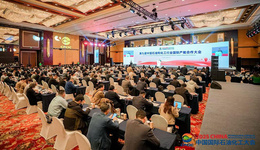 石化国际产能合作谋求“新范式”跃迁