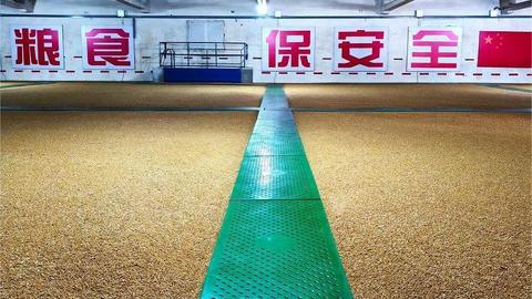 从“卖粮愁”到“放心收” 山西拨云见日稳秋实