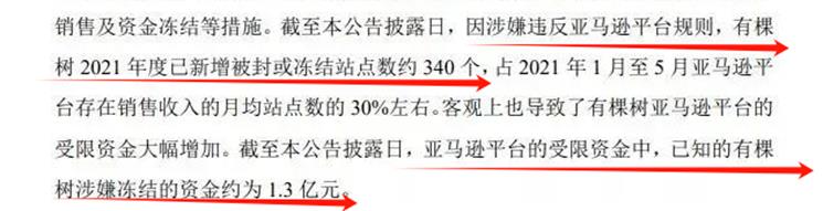 昔日跨界电商巨头遭遇巨额亏损,团队出局后能否重生?