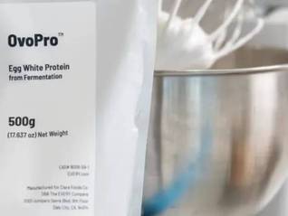 TOPBRAND | The Every Company获融资；Missoni或将被出售；妙可蓝多挂牌上市；百威集团人才官离任