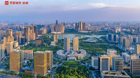 百万次“用脚投票”，他们用青春重注合肥