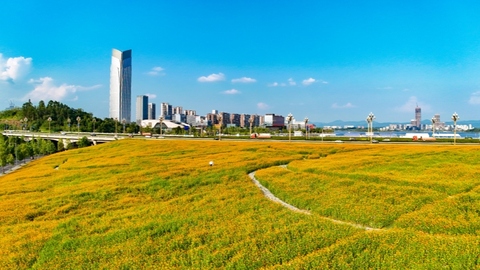 成都实践：“公园城市、安逸家园”的四川缩影