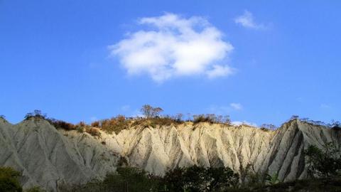 京津冀联合发布2024年水土保持公报