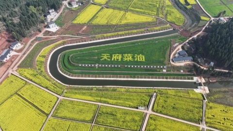 良田沃野绘“丰”景：看四川自然资源投资集团如何“绣花”蓬安高标准农田