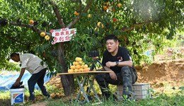 从乡土到深蓝：山东联通以数字技术书写高质量发展“五年答卷”