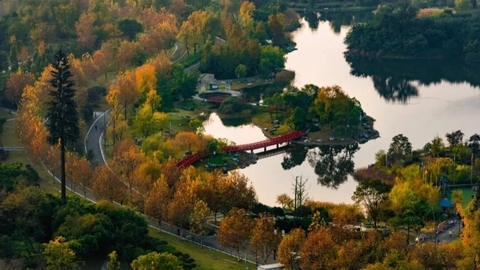 刷屏社交媒体的马克龙晨跑公园，竟是出自TA之手？