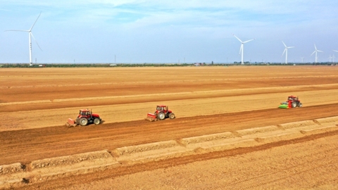 粮油加工业产值突破3400亿元 安徽筑好“江淮粮仓”