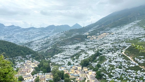 践行金融为民，担当主力先锋｜工行四川省分行“十四五”高质量发展纪实