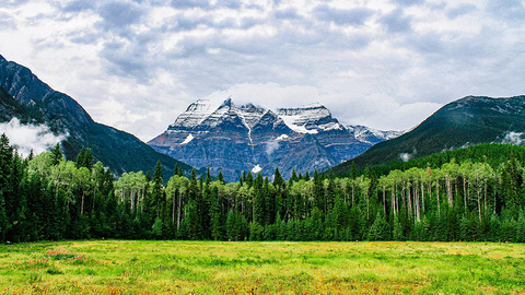 承德市深耕“三北”工程厚植高质量发展“绿色家底”