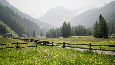 塞罕坝北曼甸分场多措并举 筑牢冬季资源管护安全防线