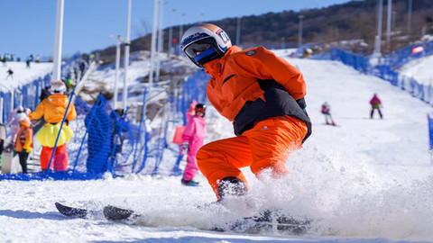 鲁城观察 | 产业开花“多重奏”，临沭县乡村振兴跑出“加速度”