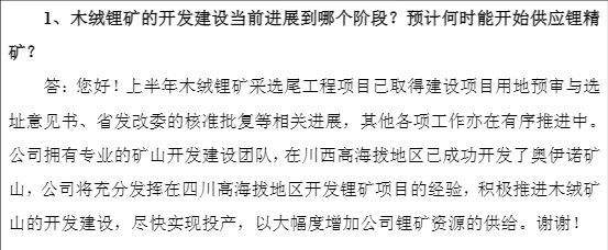 财说丨 扭亏昙花一现,盛新锂能多项偿债能力指标亮红灯|界面新闻 · 证券